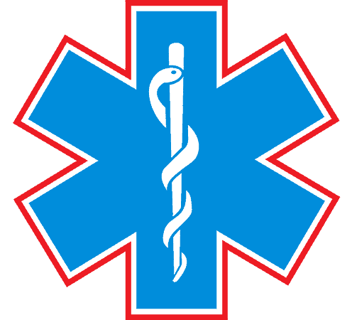 Epic EMS Logo